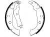 剎車蹄片 Brake Shoe:4241.G6